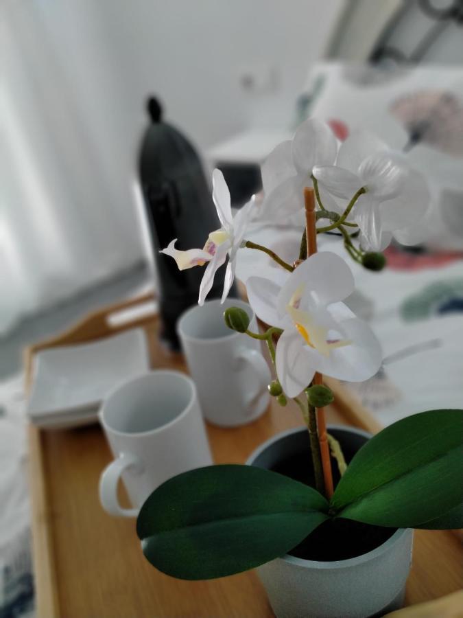 Precioso Loft En Conil De La Frontera Appartement Buitenkant foto
